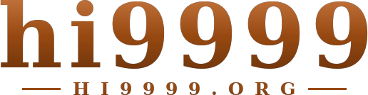 hi9999 logo